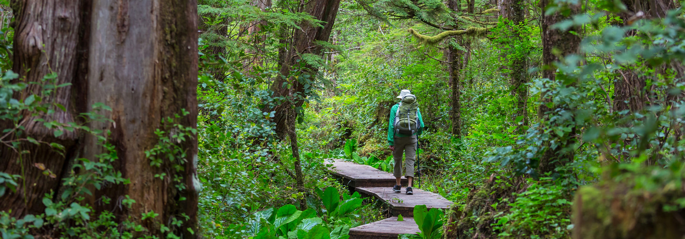 Caminata Santa Ana La Aguadora