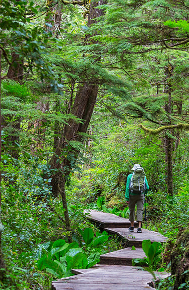 Caminata Santa Ana La Aguadora