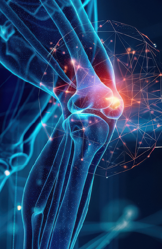 Invitación XXIX Curso Internacional de Ortopedia y Traumatología 2025