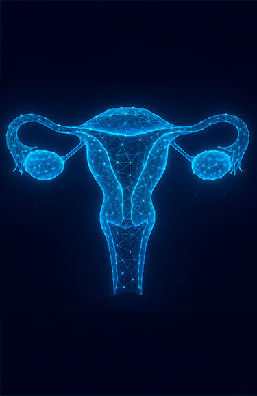 XIV Curso internacional de Ginecología y Obstetricia clínica  Colsanitas